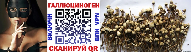 Галлюциногенные грибы Psilocybe  нарко площадка телеграм  Беломорск 